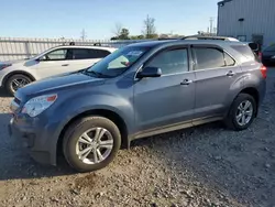 Chevrolet salvage cars for sale: 2012 Chevrolet Equinox LT