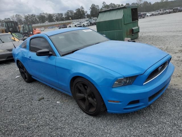 2013 Ford Mustang