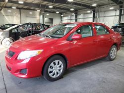 2010 Toyota Corolla Base en venta en Ham Lake, MN