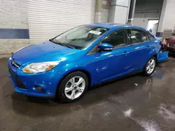 Salvage cars for sale at Ham Lake, MN auction: 2014 Ford Focus SE