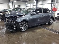 Salvage cars for sale at Ham Lake, MN auction: 2019 KIA Forte EX