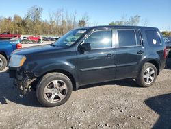 Honda salvage cars for sale: 2014 Honda Pilot EXL