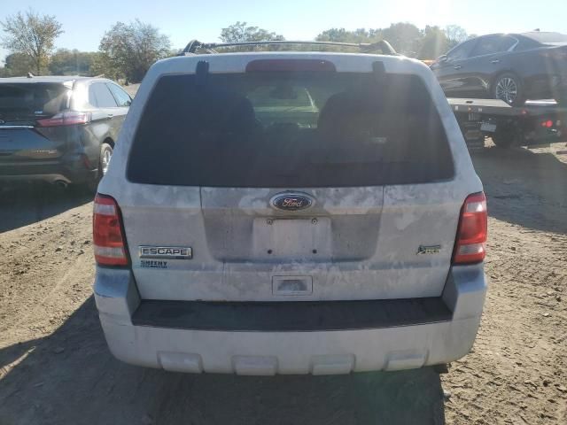 2012 Ford Escape XLT