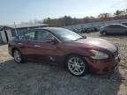 2009 Nissan Maxima S