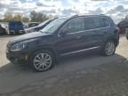 2015 Volkswagen Tiguan S