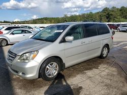 Salvage cars for sale at Harleyville, SC auction: 2005 Honda Odyssey EXL