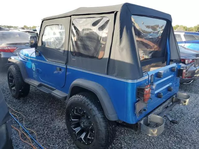 1992 Jeep Wrangler / YJ S