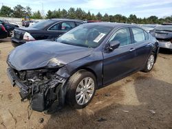 Salvage cars for sale at Elgin, IL auction: 2014 Honda Accord EXL