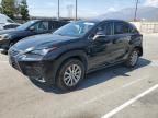 2019 Lexus NX 300H