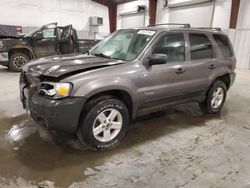 Ford salvage cars for sale: 2005 Ford Escape HEV