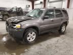 2005 Ford Escape HEV