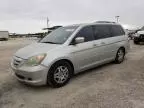 2005 Honda Odyssey EXL