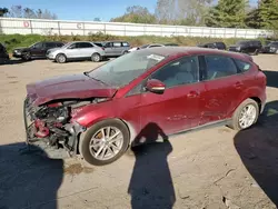 Salvage cars for sale at Davison, MI auction: 2016 Ford Focus SE