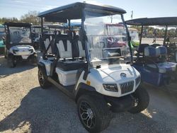 2024 Golf Cart en venta en Arcadia, FL