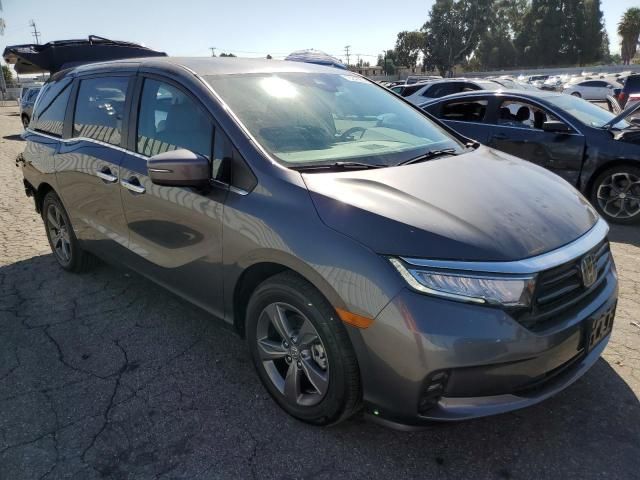 2024 Honda Odyssey EX