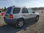 2007 Ford Escape XLT