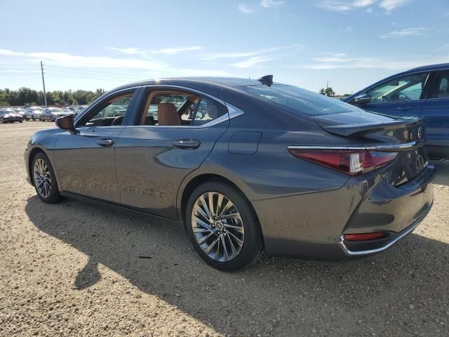 2024 Lexus ES 300H Base