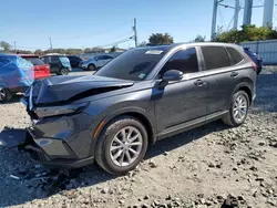 Salvage SUVs for sale at auction: 2025 Honda CR-V EXL