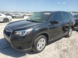 Salvage cars for sale at Houston, TX auction: 2019 Subaru Forester