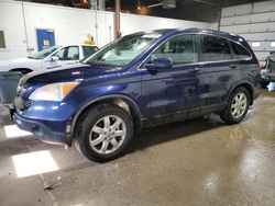 Salvage cars for sale from Copart Blaine, MN: 2009 Honda CR-V EXL