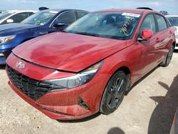 Salvage cars for sale at Riverview, FL auction: 2023 Hyundai Elantra Blue