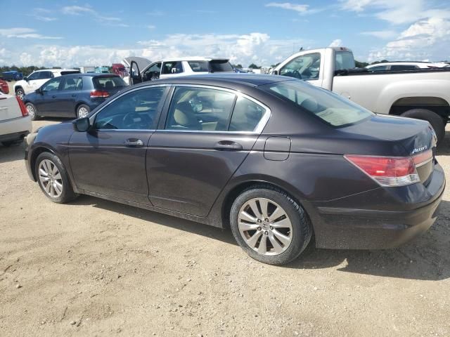 2011 Honda Accord EX