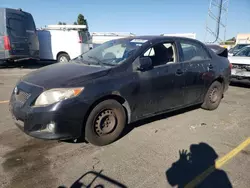 Toyota salvage cars for sale: 2010 Toyota Corolla Base