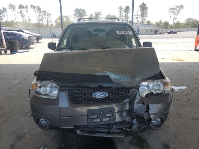 2005 Ford Escape XLT