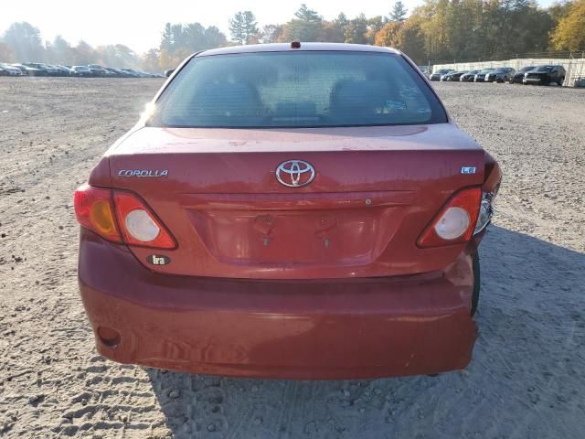 2010 Toyota Corolla Base