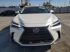 2024 Lexus NX 450H Luxury