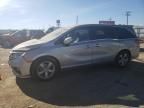 2019 Honda Odyssey EXL