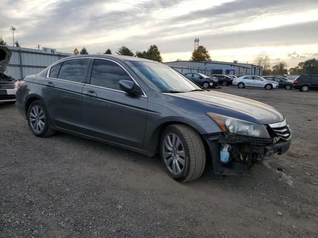 2011 Honda Accord EXL