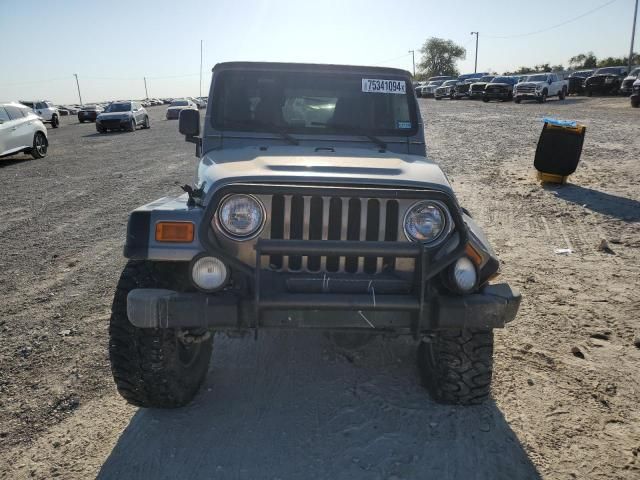 2003 Jeep Wrangler / TJ Rubicon