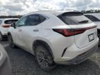 2025 Lexus NX 250 Premium