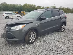 Salvage cars for sale at Barberton, OH auction: 2016 Ford Escape SE