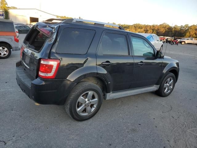 2011 Ford Escape Limited