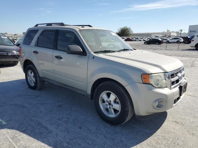 2009 Ford Escape XLT