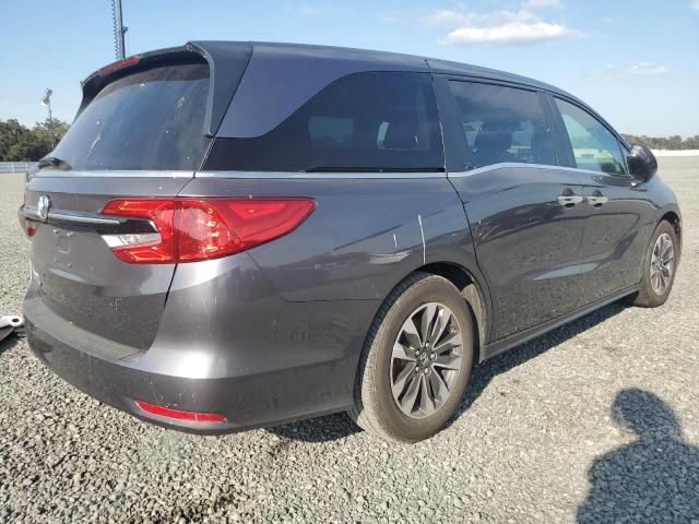 2021 Honda Odyssey EXL