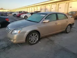 2006 Toyota Avalon XL en venta en Louisville, KY