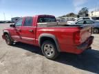 2008 Dodge Dakota TRX