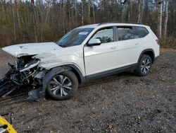 Salvage cars for sale at Cookstown, ON auction: 2024 Volkswagen Atlas SE