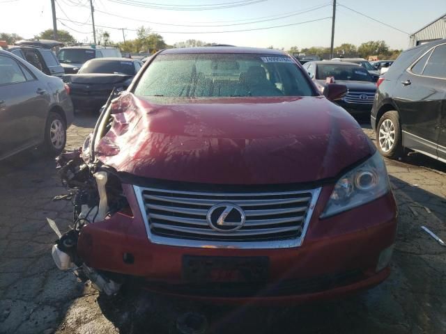 2010 Lexus ES 350