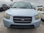 2007 Hyundai Santa FE GLS