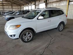 Salvage cars for sale at Phoenix, AZ auction: 2010 Hyundai Santa FE Limited