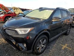 Salvage cars for sale at Riverview, FL auction: 2018 Toyota Rav4 Adventure