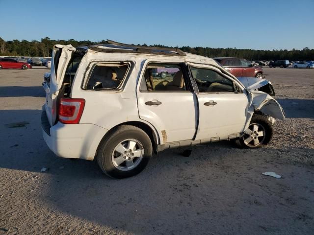 2011 Ford Escape XLT