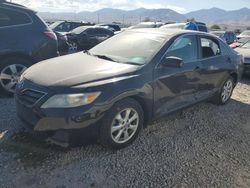 Salvage cars for sale at Magna, UT auction: 2011 Toyota Camry Base