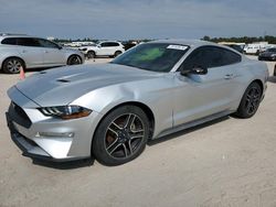 Muscle Cars for sale at auction: 2019 Ford Mustang