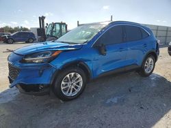 Salvage cars for sale at Arcadia, FL auction: 2020 Ford Escape SE