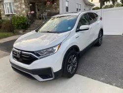 Honda salvage cars for sale: 2020 Honda CR-V EXL